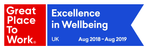 Excellence in wellbeing